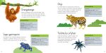 Animais selvagens miolo