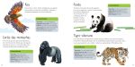 Animais selvagens miolo