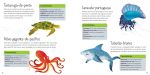 Animais selvagens miolo