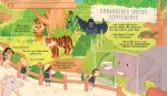 Can we really help the tigers? spread