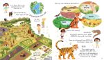 Can we really help the tigers? spread