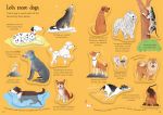 Little First Stickers Dogs and Puppies spread