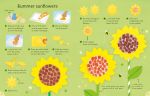 Summer things to make and do spread