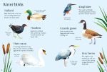 Nature Spotting Guide spread