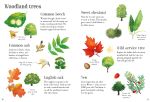 Nature Spotting Guide spread