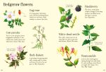 Nature Spotting Guide spread