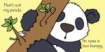 That's not my panda… spread