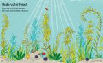 First Sticker Book Under the Sea spread