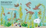 First Sticker Book Under the Sea spread