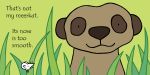 That's not my meerkat… spread