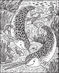 Narwhals and Other Sea Creatures Magic Painting Book spread