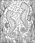 Narwhals and Other Sea Creatures Magic Painting Book spread