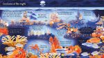 Look inside a Coral Reef spread