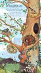 Look Inside Animal Homes spread