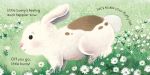 There There Little Bunny spread