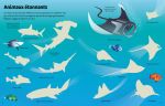 Les animaux de l'océan page intérieure