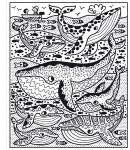 Sous la mer page intérieure