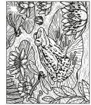 Le jardin page intérieure