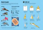 100 avions fluo à plier et faire voler page intérieure