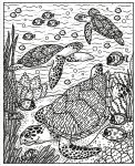 Les animaux sauvages page intérieure