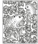 La forêt page intérieure