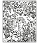 Au zoo page intérieure
