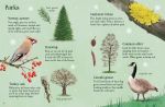 Things to Spot in Winter spread
