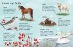 Things to Spot in Winter spread