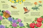 Things to Spot in Summer spread