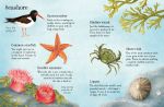 Things to Spot in Summer spread