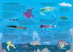 Les océans page intérieure