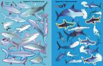 Tiburones página interior