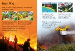 Firefighters spread
