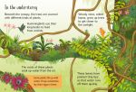 Rainforests spread