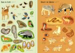 La nature page intérieure