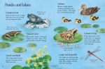 Things to Spot in Springtime spread