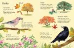 Things to Spot in Autumn spread