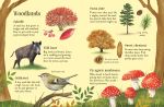 Things to Spot in Autumn spread
