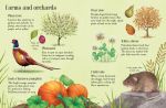 Things to Spot in Autumn spread