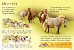 Horses and Ponies spread