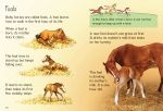 Horses and Ponies spread