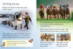 Horses and Ponies spread