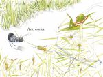 The Ant and the Grasshopper spread