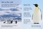 Penguins spread