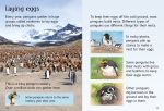 Penguins spread