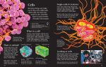 First Encyclopedia of Science spread