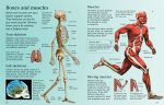 First Encyclopedia of Science spread
