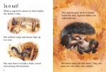 Baby Animals spread