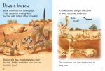 Baby Animals spread