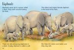 Baby Animals spread